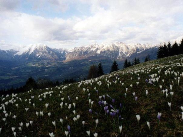 Bed and Breakfast Da C I S A Tambre dʼAlpago Exterior foto