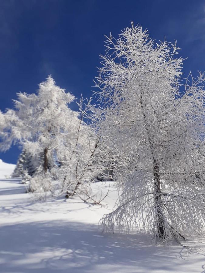 Bed and Breakfast Da C I S A Tambre dʼAlpago Exterior foto